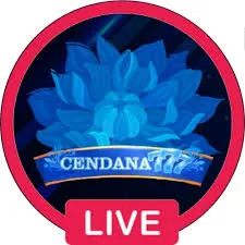 cendana777 - Pantau Anak APK